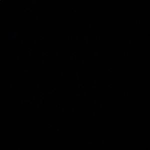 Meet your Posher, Carter